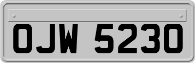 OJW5230