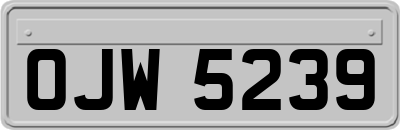 OJW5239