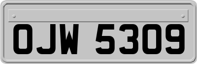 OJW5309
