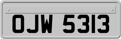 OJW5313