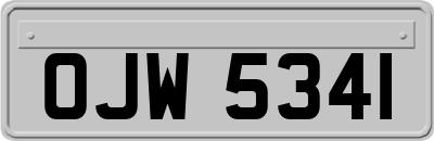 OJW5341