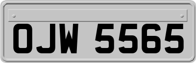 OJW5565