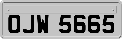 OJW5665