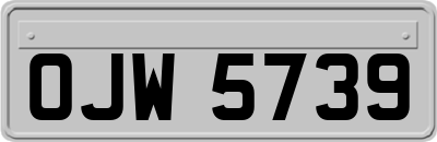 OJW5739