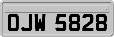 OJW5828