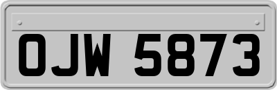 OJW5873
