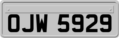 OJW5929