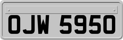OJW5950