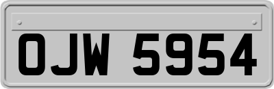 OJW5954