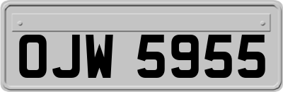 OJW5955