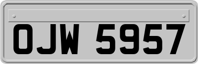OJW5957
