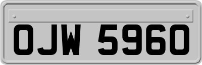 OJW5960