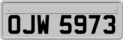 OJW5973