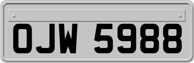 OJW5988