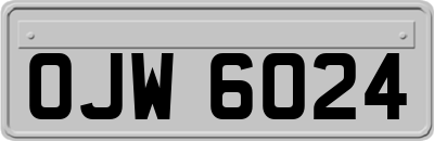 OJW6024