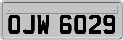 OJW6029