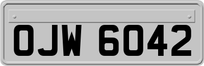 OJW6042