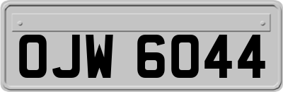 OJW6044