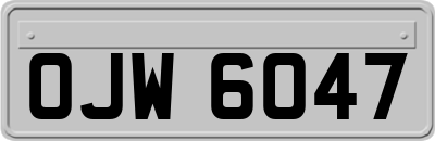 OJW6047