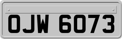 OJW6073