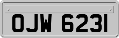 OJW6231