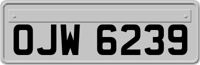 OJW6239