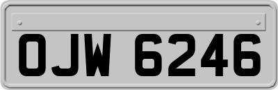 OJW6246