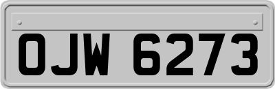OJW6273