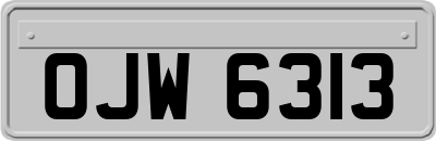 OJW6313