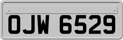 OJW6529