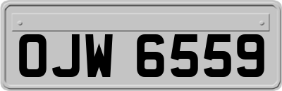 OJW6559