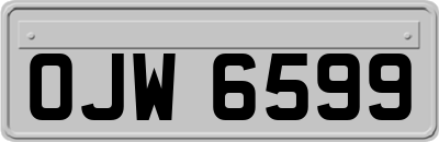 OJW6599