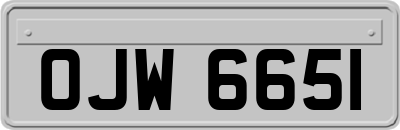 OJW6651