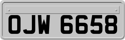 OJW6658