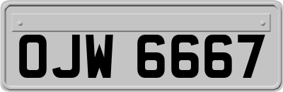 OJW6667