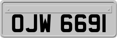 OJW6691