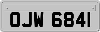 OJW6841