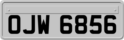 OJW6856