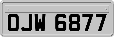 OJW6877