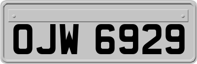 OJW6929