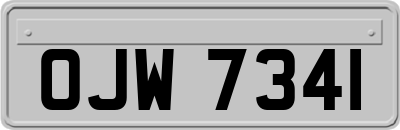 OJW7341