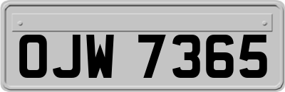 OJW7365