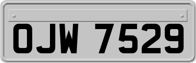 OJW7529