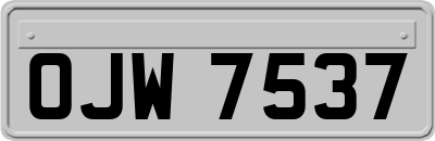 OJW7537