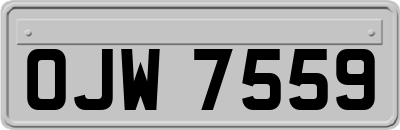 OJW7559