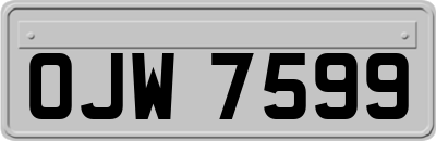 OJW7599