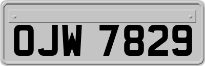 OJW7829
