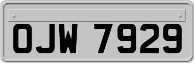 OJW7929