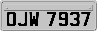OJW7937