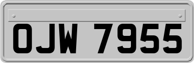 OJW7955